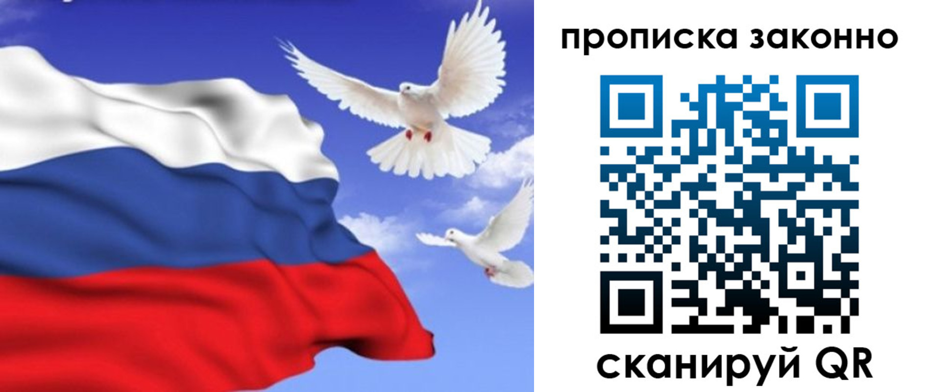 прописка в Павловском Посаде
